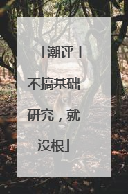 潮评丨不搞基础研究，就没根