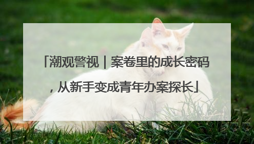 潮观警视｜案卷里的成长密码，从新手变成青年办案探长