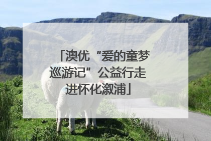 澳优“爱的童梦巡游记”公益行走进怀化溆浦