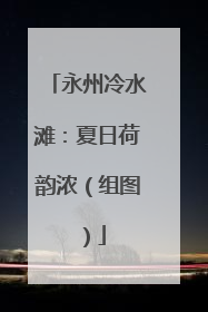 永州冷水滩：夏日荷韵浓（组图）