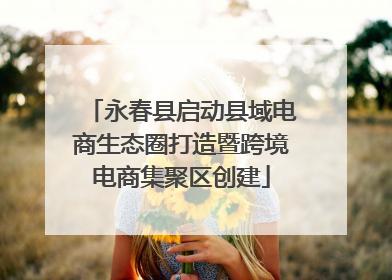 永春县启动县域电商生态圈打造暨跨境电商集聚区创建