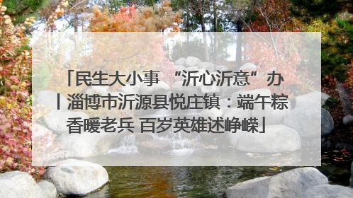 民生大小事 “沂心沂意”办丨淄博市沂源县悦庄镇：端午粽香暖老兵 百岁英雄述峥嵘