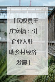 民权县王庄寨镇：引企业入驻 助乡村经济发展