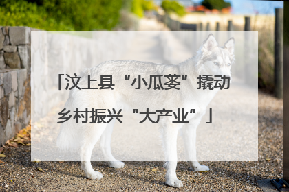 汶上县“小瓜蒌”撬动乡村振兴“大产业”