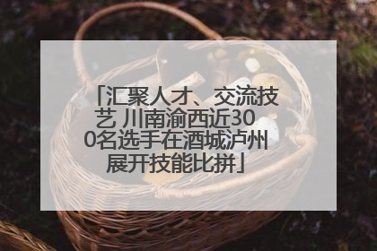 汇聚人才、交流技艺 川南渝西近300名选手在酒城泸州展开技能比拼