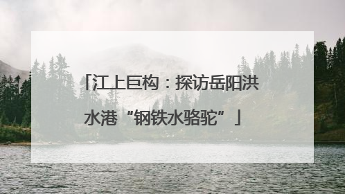 江上巨构：探访岳阳洪水港“钢铁水骆驼”