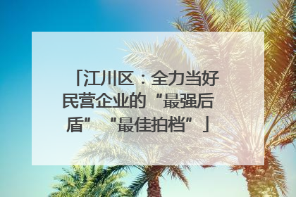 江川区：全力当好民营企业的“最强后盾”“最佳拍档”