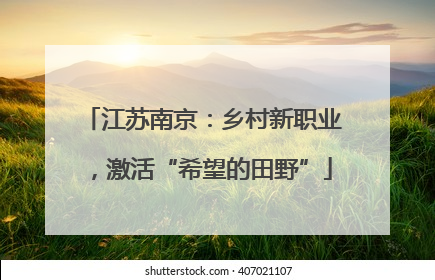 江苏南京：乡村新职业，激活“希望的田野”