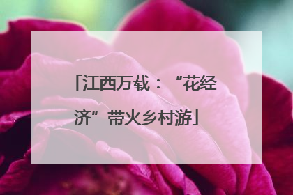 江西万载：“花经济”带火乡村游