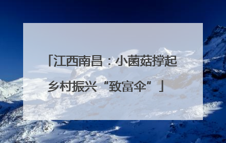 江西南昌：小菌菇撑起乡村振兴“致富伞”