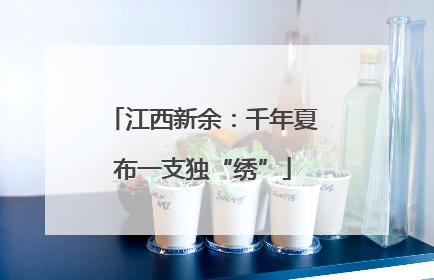 江西新余：千年夏布一支独“绣”