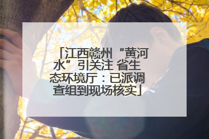 江西赣州“黄河水”引关注 省生态环境厅：已派调查组到现场核实