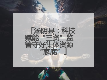 汤阴县：科技赋能“三资”监管守好集体资源“家底”