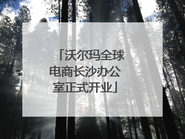 沃尔玛全球电商长沙办公室正式开业