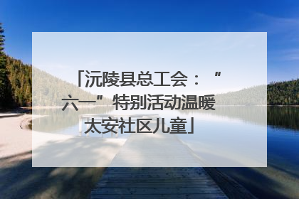 沅陵县总工会：“六一”特别活动温暖太安社区儿童