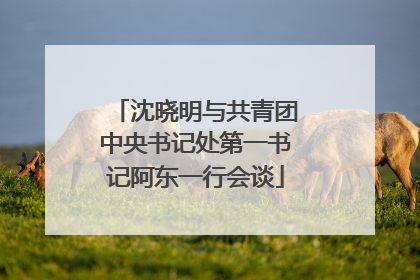 沈晓明与共青团中央书记处第一书记阿东一行会谈
