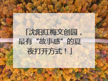 沈阳红梅文创园，最有“故事感”的夏夜打开方式！