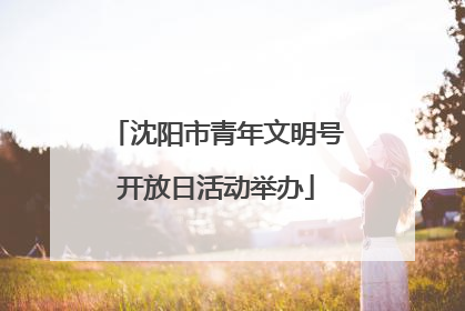 沈阳市青年文明号开放日活动举办