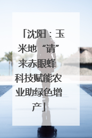 沈阳：玉米地“请”来赤眼蜂 科技赋能农业助绿色增产