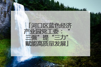 河口区蓝色经济产业园党工委：“三强”提“三力”赋能高质量发展