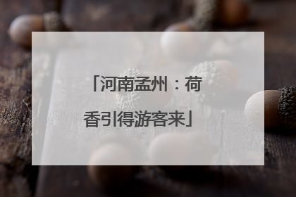 河南孟州：荷香引得游客来