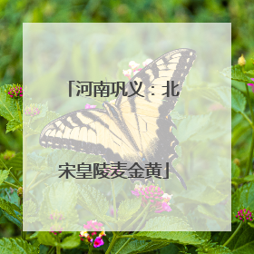 河南巩义：北宋皇陵麦金黄