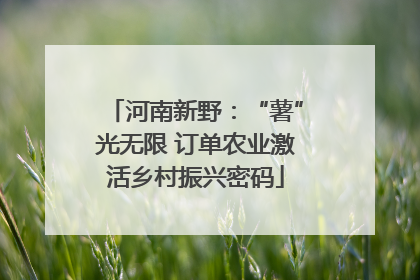 河南新野：“薯”光无限 订单农业激活乡村振兴密码