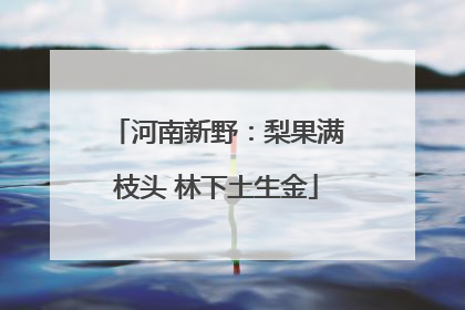 河南新野：梨果满枝头 林下土生金