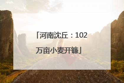 河南沈丘：102 万亩小麦开镰