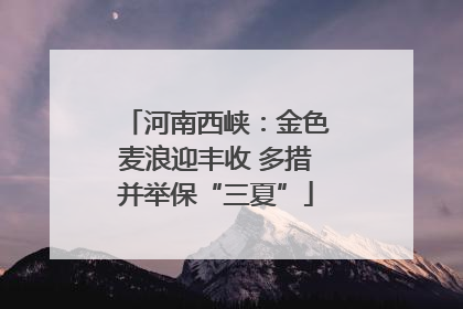 河南西峡：金色麦浪迎丰收 多措并举保“三夏”