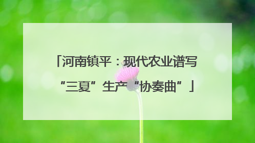 河南镇平：现代农业谱写“三夏”生产“协奏曲”