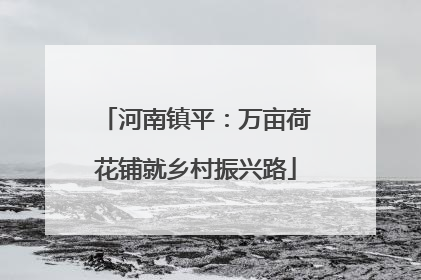 河南镇平：万亩荷花铺就乡村振兴路