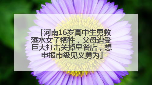 河南16岁高中生勇救落水女子牺牲，父母遭受巨大打击关掉早餐店，想申报市级见义勇为