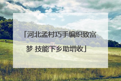 河北孟村巧手编织致富梦 技能下乡助增收