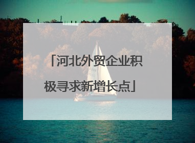 河北外贸企业积极寻求新增长点