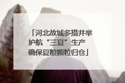 河北故城多措并举护航“三夏”生产 确保夏粮颗粒归仓