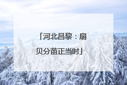 河北昌黎：扇贝分苗正当时