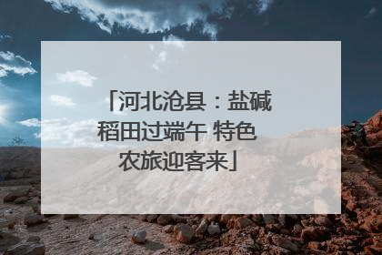河北沧县：盐碱稻田过端午 特色农旅迎客来