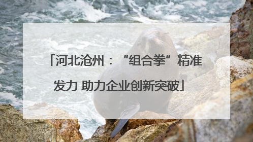 河北沧州：“组合拳”精准发力 助力企业创新突破