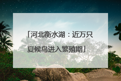 河北衡水湖：近万只夏候鸟进入繁殖期