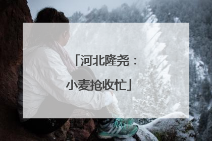 河北隆尧：小麦抢收忙