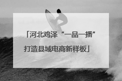 河北鸡泽“一品一播”打造县域电商新样板