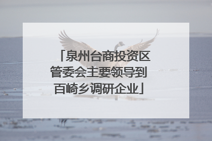 泉州台商投资区管委会主要领导到百崎乡调研企业