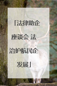 法律助企座谈会 法治护航民企发展