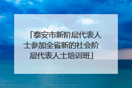 泰安市新阶层代表人士参加全省新的社会阶层代表人士培训班
