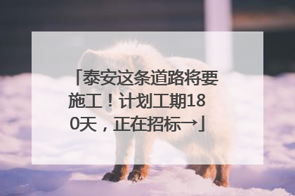 泰安这条道路将要施工！计划工期180天，正在招标→