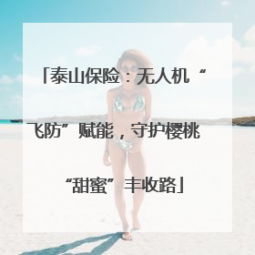 泰山保险：无人机“飞防”赋能，守护樱桃“甜蜜”丰收路