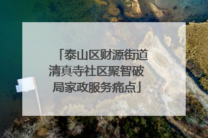 泰山区财源街道清真寺社区聚智破局家政服务痛点