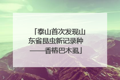 泰山首次发现山东省昆虫新记录种——香椿巴木虱