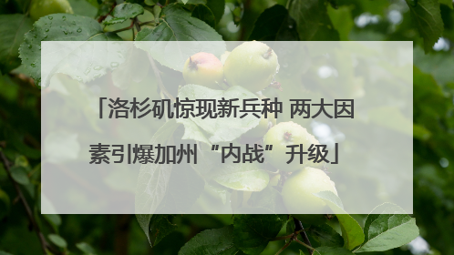 洛杉矶惊现新兵种 两大因素引爆加州“内战”升级